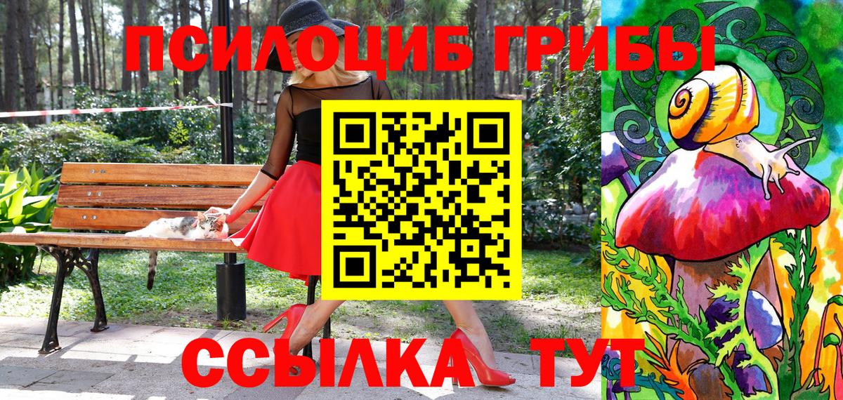 Каменка  Псилоцибиновые грибы прущие грибы  Вход с VPN  Псилоцибиновые грибы мухоморы 